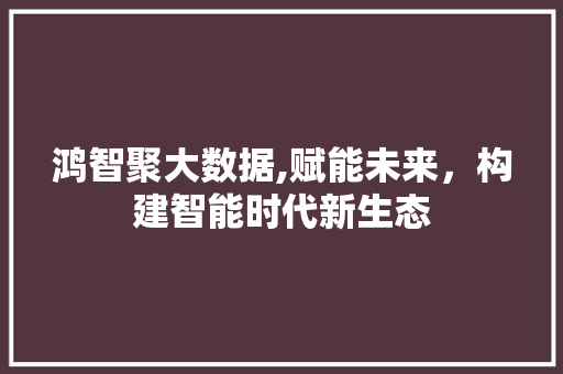 鸿智聚大数据,赋能未来，构建智能时代新生态