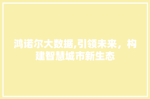 鸿诺尔大数据,引领未来，构建智慧城市新生态 头条优化