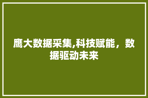 鹰大数据采集,科技赋能，数据驱动未来