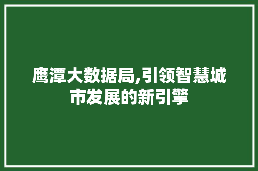 鹰潭大数据局,引领智慧城市发展的新引擎