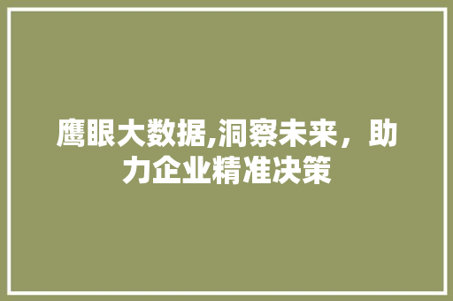 鹰眼大数据,洞察未来，助力企业精准决策