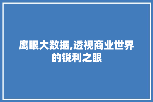 鹰眼大数据,透视商业世界的锐利之眼 英文谷歌算法