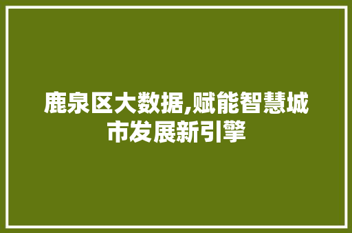 鹿泉区大数据,赋能智慧城市发展新引擎 英文谷歌算法
