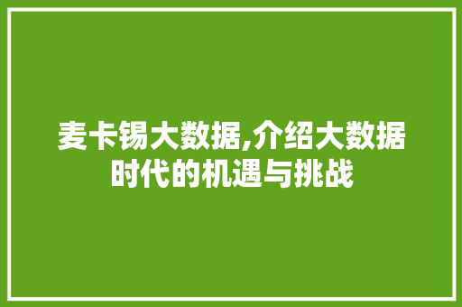 麦卡锡大数据,介绍大数据时代的机遇与挑战 360搜优化