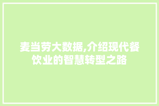 麦当劳大数据,介绍现代餐饮业的智慧转型之路 360搜优化