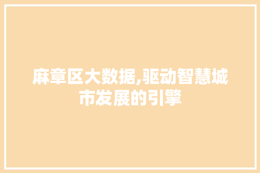 麻章区大数据,驱动智慧城市发展的引擎 百度算法