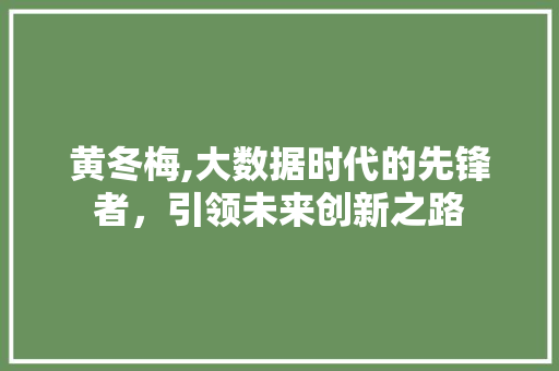 黄冬梅,大数据时代的先锋者，引领未来创新之路 搜狗优化