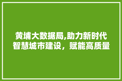 黄埔大数据局,助力新时代智慧城市建设，赋能高质量发展 网站优化