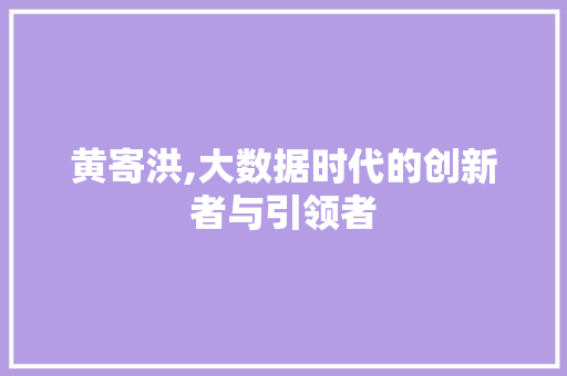 黄寄洪,大数据时代的创新者与引领者 小程序开发