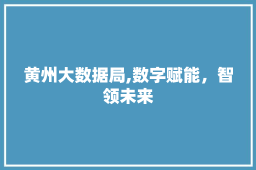 黄州大数据局,数字赋能，智领未来