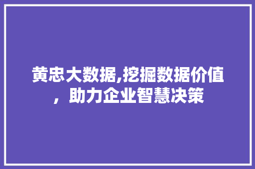 黄忠大数据,挖掘数据价值，助力企业智慧决策 360搜优化