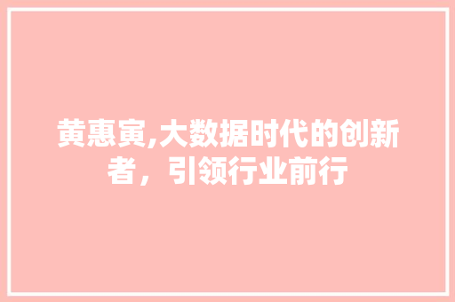 黄惠寅,大数据时代的创新者，引领行业前行 头条优化