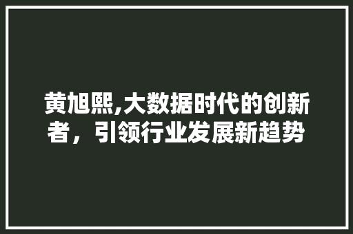 黄旭熙,大数据时代的创新者，引领行业发展新趋势 网站开发
