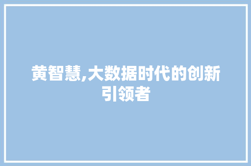 黄智慧,大数据时代的创新引领者 小程序开发