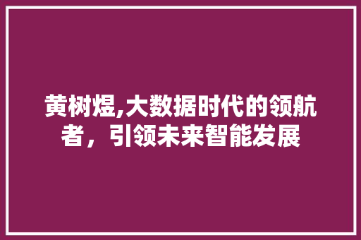 黄树煜,大数据时代的领航者，引领未来智能发展 AI技术学习