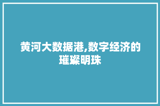 黄河大数据港,数字经济的璀璨明珠