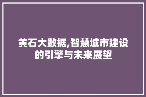 黄石大数据,智慧城市建设的引擎与未来展望
