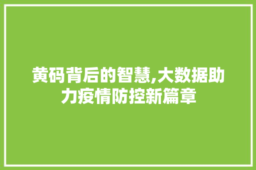 黄码背后的智慧,大数据助力疫情防控新篇章