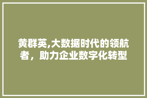 黄群英,大数据时代的领航者，助力企业数字化转型 小程序开发