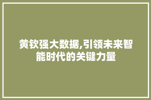 黄钦强大数据,引领未来智能时代的关键力量 AI技术学习