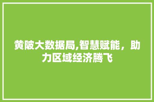 黄陂大数据局,智慧赋能，助力区域经济腾飞 网站优化