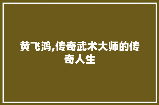 黄飞鸿,传奇武术大师的传奇人生 搜狗优化