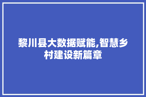 黎川县大数据赋能,智慧乡村建设新篇章 网站优化