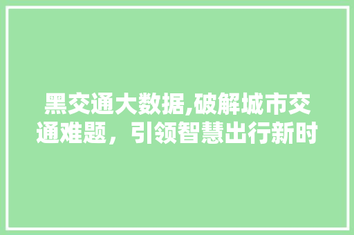 黑交通大数据,破解城市交通难题，引领智慧出行新时代 360搜优化