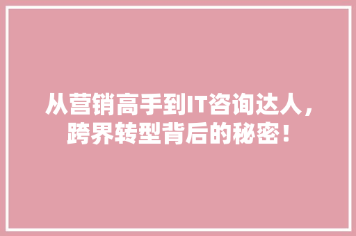 从营销高手到IT咨询达人，跨界转型背后的秘密！