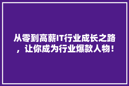 从零到高薪IT行业成长之路，让你成为行业爆款人物！ 头条优化