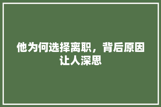 他为何选择离职，背后原因让人深思