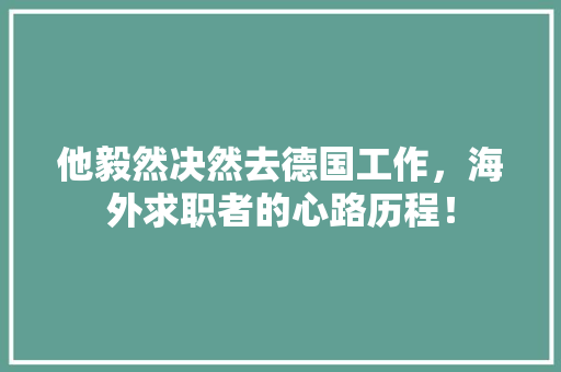 他毅然决然去德国工作，海外求职者的心路历程！