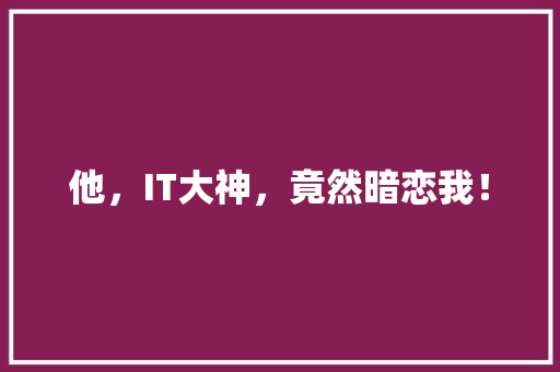 他，IT大神，竟然暗恋我！