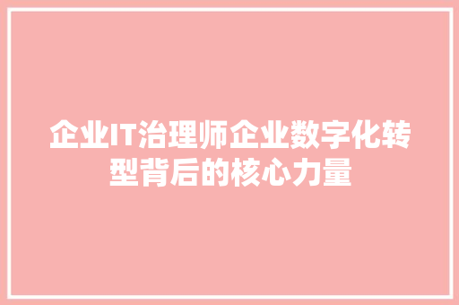 企业IT治理师企业数字化转型背后的核心力量 网站优化