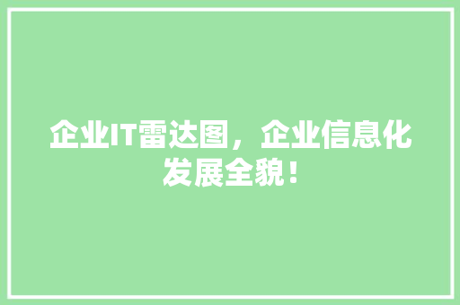 企业IT雷达图，企业信息化发展全貌！