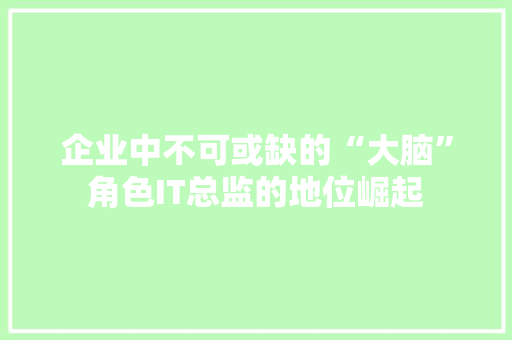 企业中不可或缺的“大脑”角色IT总监的地位崛起
