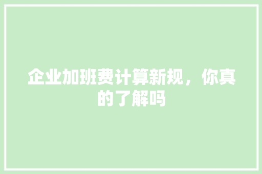 企业加班费计算新规，你真的了解吗 AI技术学习