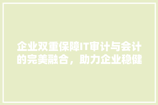 企业双重保障IT审计与会计的完美融合，助力企业稳健发展！