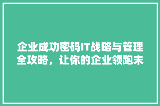 企业成功密码IT战略与管理全攻略，让你的企业领跑未来！ 搜狗优化