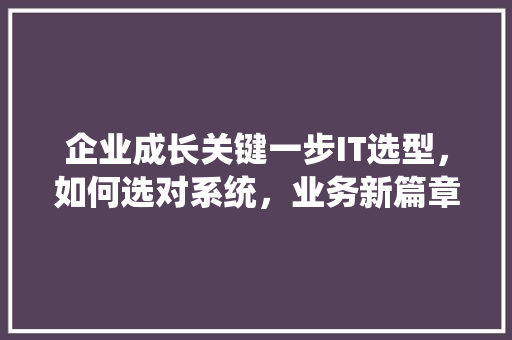 企业成长关键一步IT选型，如何选对系统，业务新篇章！