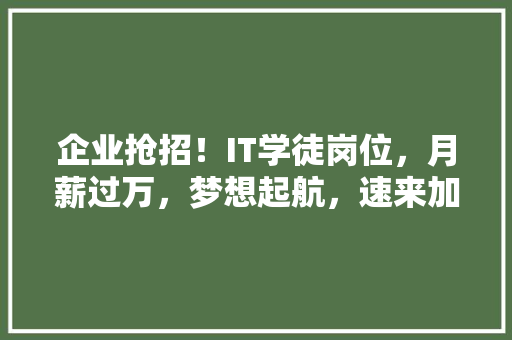 企业抢招！IT学徒岗位，月薪过万，梦想起航，速来加入！