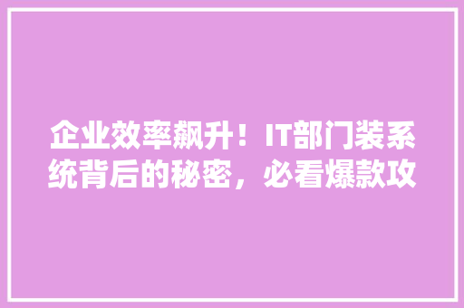 企业效率飙升！IT部门装系统背后的秘密，必看爆款攻略