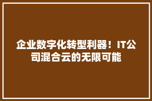 企业数字化转型利器！IT公司混合云的无限可能