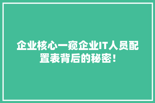 企业核心一窥企业IT人员配置表背后的秘密！ 网站优化