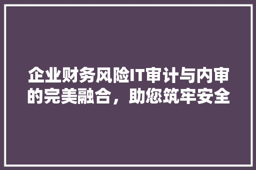 企业财务风险IT审计与内审的完美融合，助您筑牢安全防线