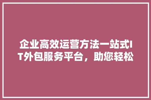企业高效运营方法一站式IT外包服务平台，助您轻松提升竞争力！