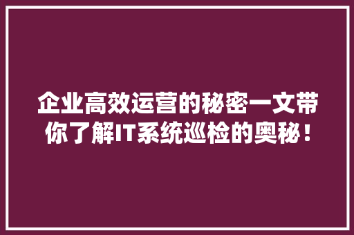 企业高效运营的秘密一文带你了解IT系统巡检的奥秘！