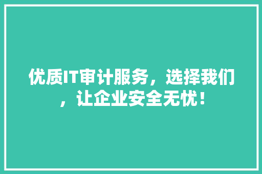 优质IT审计服务，选择我们，让企业安全无忧！