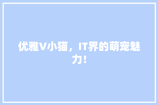 优雅V小猫，IT界的萌宠魅力！ 网站开发