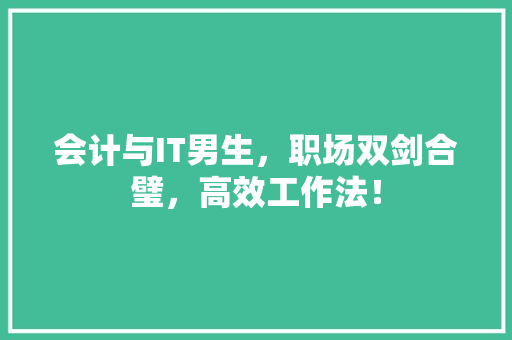 会计与IT男生，职场双剑合璧，高效工作法！